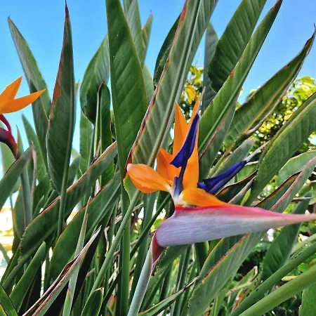 El Corazon De Americas 美洲海滩